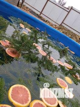 Дом 50м², 1-этажный, посуточно,