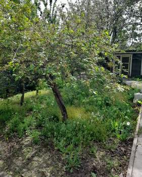 Дом 48м², 1-этажный, участок 6 сот.