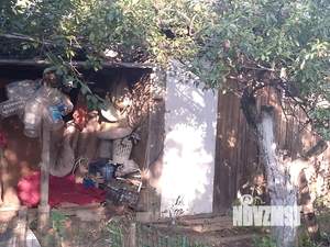 Дом 27м², 1-этажный, участок 13 сот.