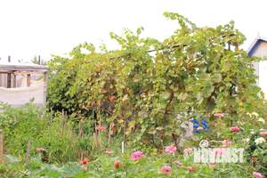 Дом 73м², 1-этажный, участок 6 сот.