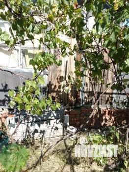 Дом 24м², 1-этажный, участок 6 сот.