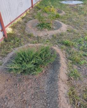 Дом 150м², 2-этажный, участок 8 сот.