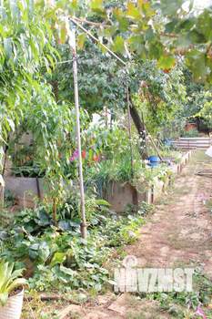 Дом 73м², 1-этажный, участок 6 сот.