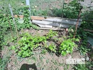 Дом 20м², 1-этажный, участок 4 сот.