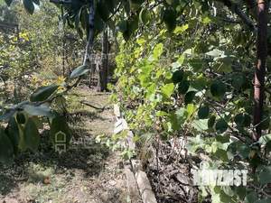 Дом 25м², 1-этажный, участок 6 сот.