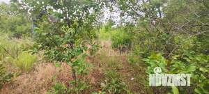 Дом 16м², 1-этажный, участок 5 сот.