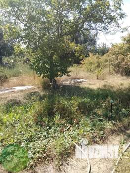 Дом 24м², 1-этажный, участок 6 сот.