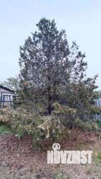 Дом 100м², 1-этажный, участок 7 сот.