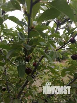 Дом 32м², 2-этажный, участок 6 сот.