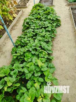 Дом 56м², 2-этажный, участок 6 сот.