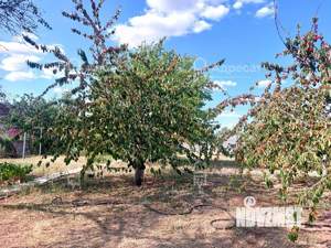 Дом 12м², 1-этажный, участок 6 сот.