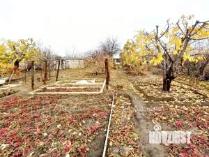 Дом 20м², 1-этажный, участок 6 сот.