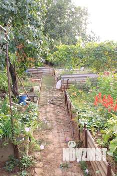 Дом 73м², 1-этажный, участок 6 сот.