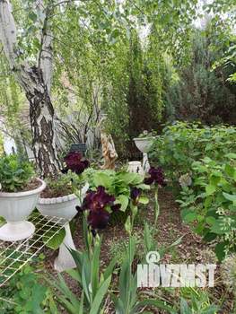 Дом 120м², 1-этажный, участок 13 сот.