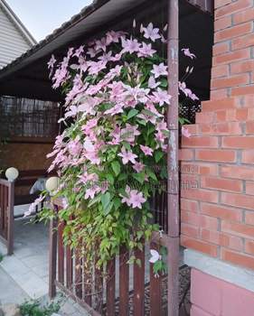 Дом 50м², 1-этажный, участок 4 сот.