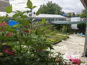 Дом 58м², 1-этажный, участок 4 сот.