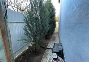 Дом 60м², 2-этажный, участок 6 сот.