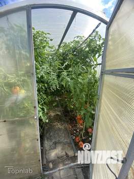 Дом 139м², 2-этажный, участок 7 сот.