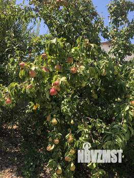 Дом 30м², 1-этажный, участок 8 сот.