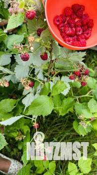 Дом 15м², 1-этажный, участок 10 сот.