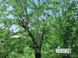 Дом 20м², 1-этажный, участок 4 сот.