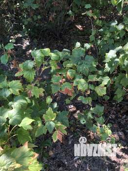 Дом 30м², 1-этажный, участок 8 сот.