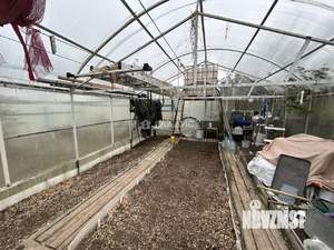 Дом 53м², 1-этажный, участок 6 сот.