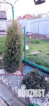 Дом 61м², 1-этажный, участок 5 сот.