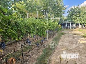 Дом 92м², 1-этажный, участок 7 сот.