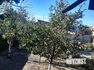 Дом 83м², 1-этажный, участок 6 сот.