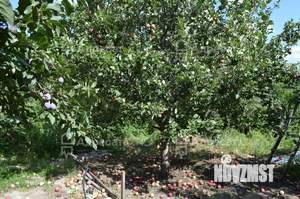 Дача 30м², 1-этажный, участок 6 сот.