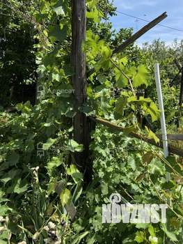 Дача 20м², 1-этажный, участок 7 сот.