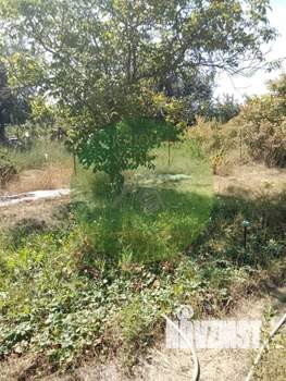 Дом 24м², 1-этажный, участок 6 сот.