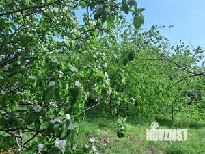 Дом 20м², 1-этажный, участок 4 сот.