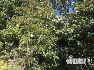 Дом 25м², 1-этажный, участок 6 сот.