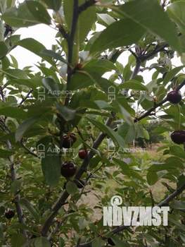 Дом 32м², 2-этажный, участок 6 сот.