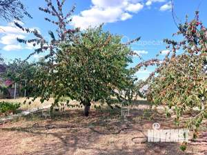 Дача 12м², 1-этажный, участок 6 сот.