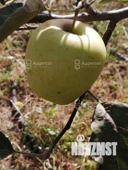 Дача 32м², 2-этажный, участок 6 сот.