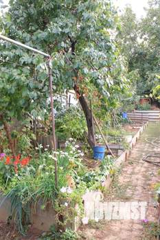 Дом 73м², 1-этажный, участок 6 сот.