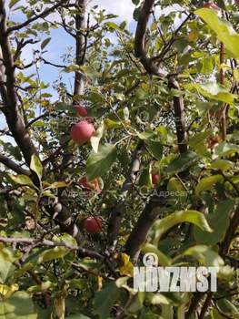 Дом 32м², 2-этажный, участок 6 сот.