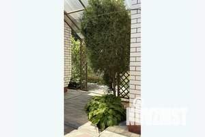 Дом 70м², 2-этажный, посуточно, 