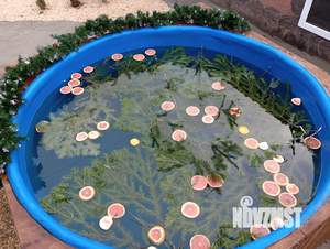 Дом 50м², 1-этажный, посуточно, 