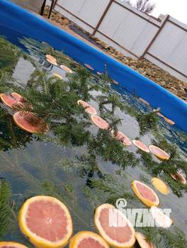 Дом 50м², 1-этажный, посуточно, 