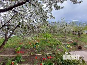 Дом 45м², 1-этажный, участок 7 сот.  