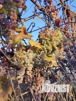 Дача 77м², 2-этажный, участок 6 сот.  