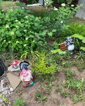 Дом 26м&sup2;, 1-этажный, участок 6 сот.  