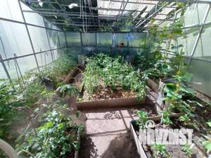 Коттедж 292м², 3-этажный, участок 11 сот.  