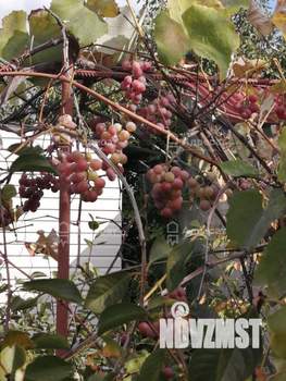 Дом 32м², 2-этажный, участок 6 сот.  