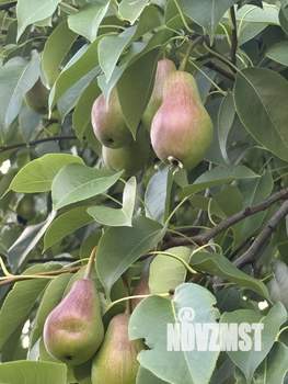 Дом 133м&sup2;, 2-этажный, участок 5 сот.  