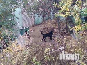 Дом 121м², 1-этажный, участок 8 сот.  